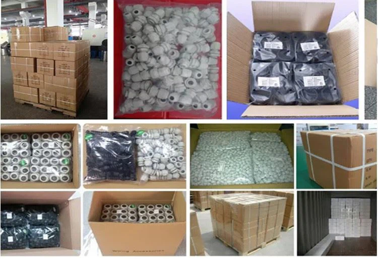 Cable Glands Packaging Customization Cable Glands Packaging Customization