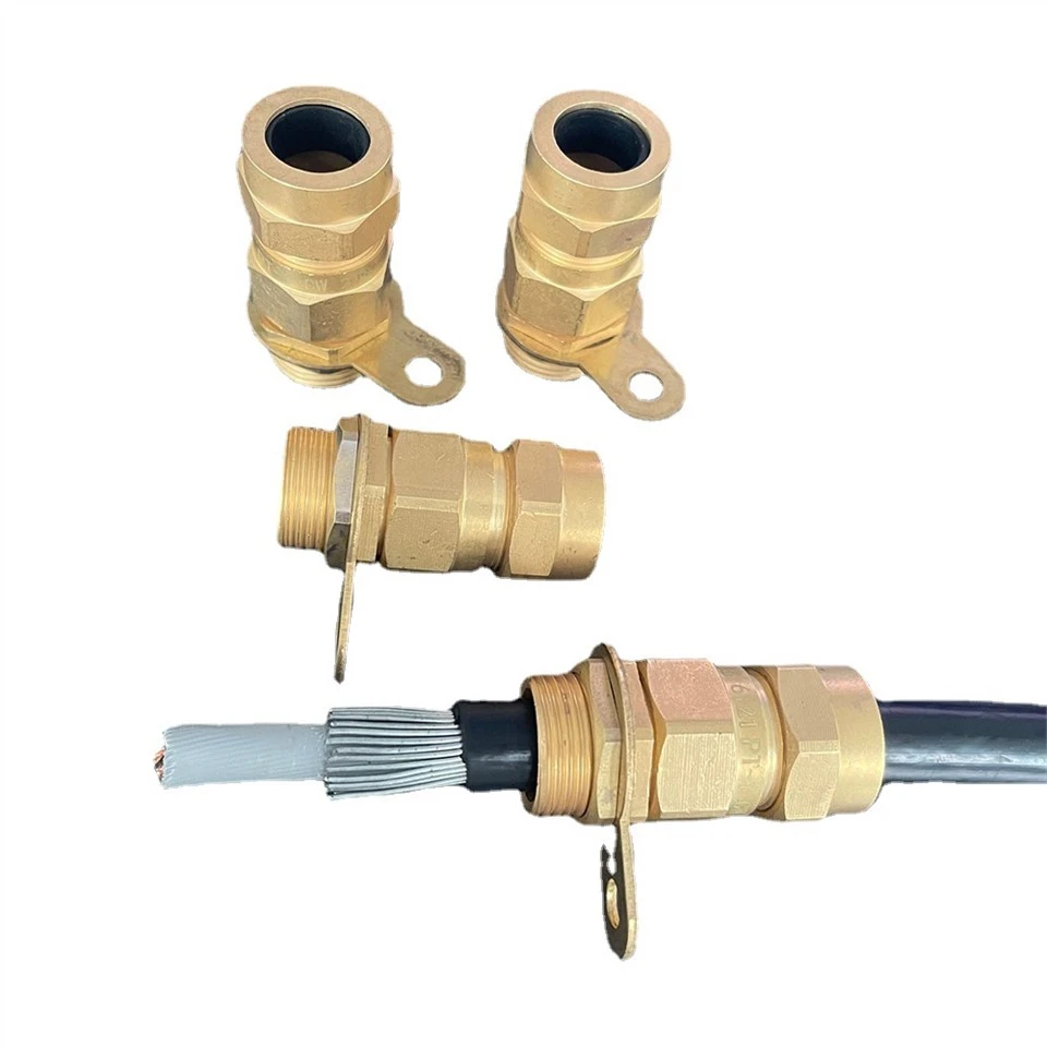 CW Cáp bọc thép Gland